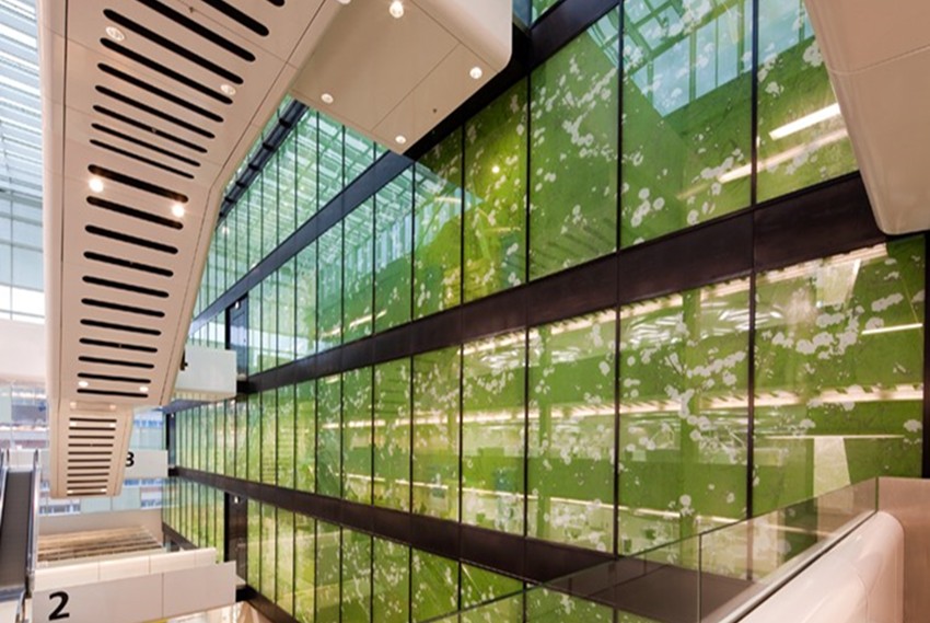 Embuild Glass